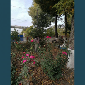 Acțiuni de salubrizare a teritoriului în cadrul Campaniei municipale de salubrizare de toamnă