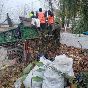 Evacuarea frunzișului de pe terenul aferent/adiacent al instituției de educație timpurie nt.67, str.Otovasca,11